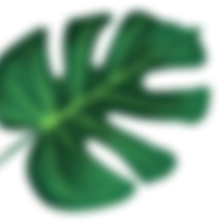 —Pngtree—hand-painted-noise-green-leaf-element_4054582-1